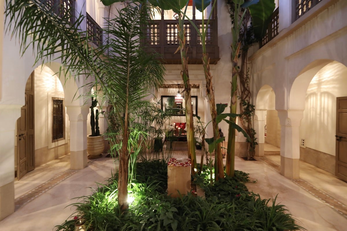 Le patio planté de palmiers et éclairé pour le soir