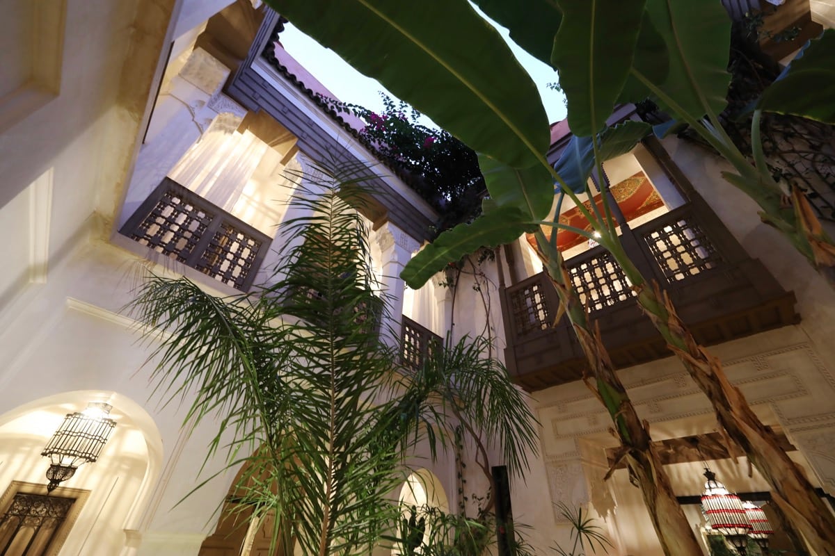 Le regard levé entre les palmes et les galeries sculptées du patio